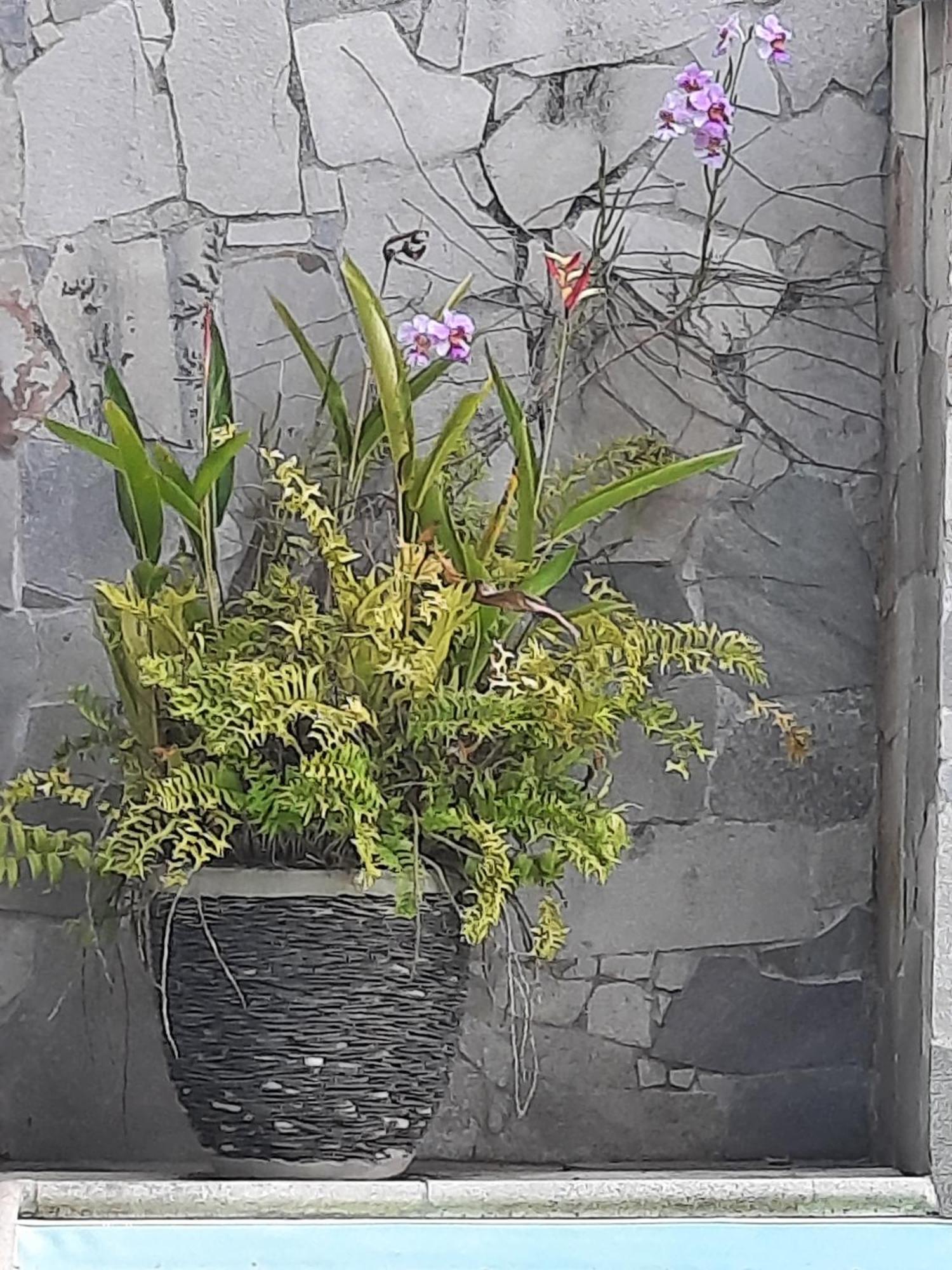 Les Joyaux De Balata Apartment Saint-Joseph ภายนอก รูปภาพ